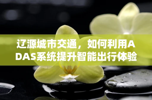 辽源城市交通，如何利用ADAS系统提升智能出行体验？