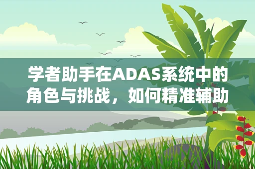 学者助手在ADAS系统中的角色与挑战，如何精准辅助决策？