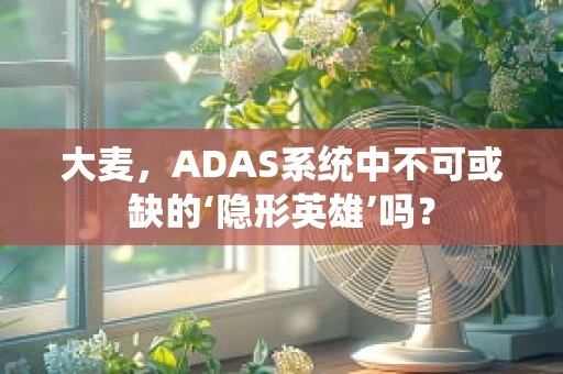 大麦，ADAS系统中不可或缺的‘隐形英雄’吗？