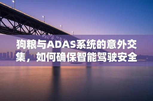 狗粮与ADAS系统的意外交集，如何确保智能驾驶安全？