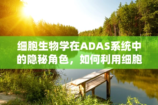 细胞生物学在ADAS系统中的隐秘角色，如何利用细胞信号传导优化自动驾驶决策？
