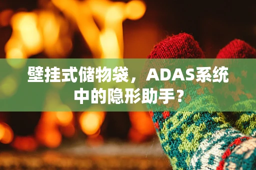 壁挂式储物袋，ADAS系统中的隐形助手？