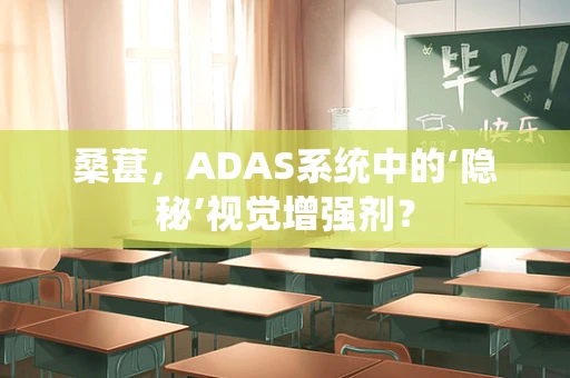 桑葚，ADAS系统中的‘隐秘’视觉增强剂？