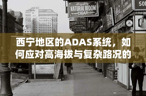 西宁地区的ADAS系统，如何应对高海拔与复杂路况的挑战？