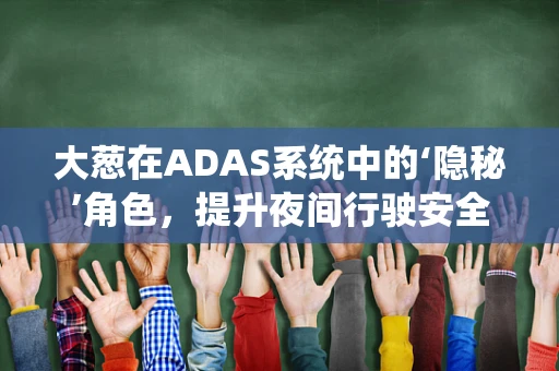 大葱在ADAS系统中的‘隐秘’角色，提升夜间行驶安全的关键？