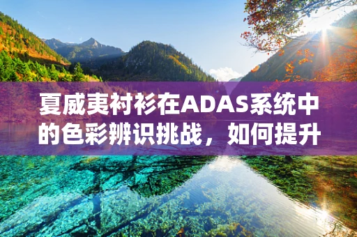 夏威夷衬衫在ADAS系统中的色彩辨识挑战，如何提升识别精度？