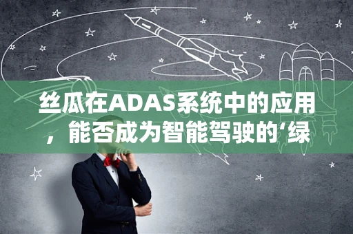 丝瓜在ADAS系统中的应用，能否成为智能驾驶的‘绿色雷达’？