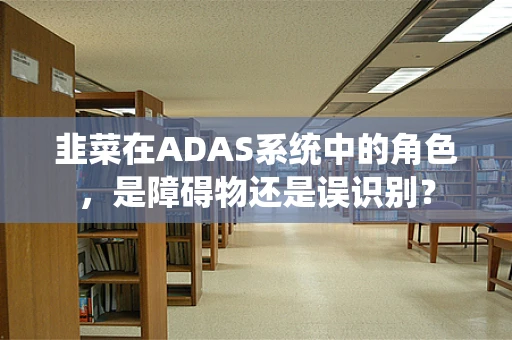 韭菜在ADAS系统中的角色，是障碍物还是误识别？