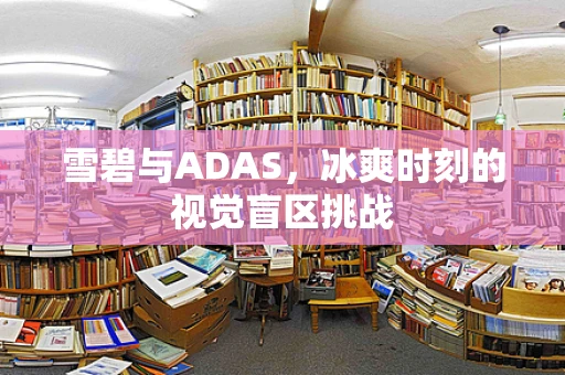 雪碧与ADAS，冰爽时刻的视觉盲区挑战