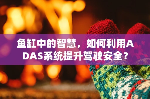 鱼缸中的智慧，如何利用ADAS系统提升驾驶安全？