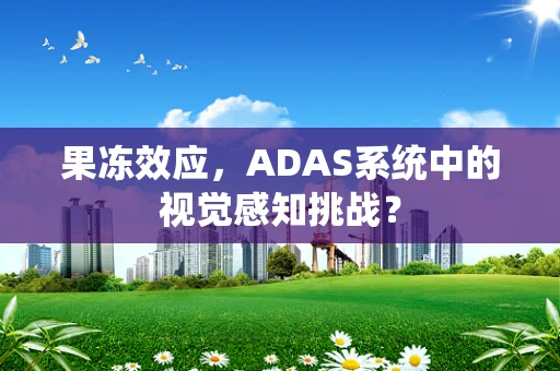 果冻效应，ADAS系统中的视觉感知挑战？