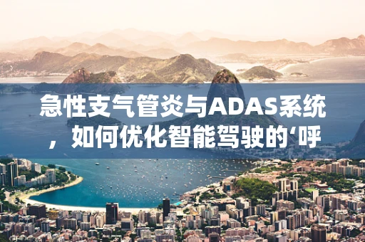 急性支气管炎与ADAS系统，如何优化智能驾驶的‘呼吸’？