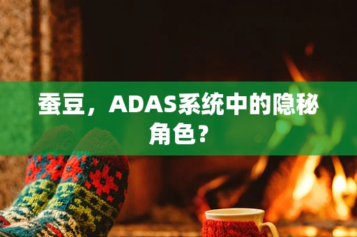 蚕豆，ADAS系统中的隐秘角色？