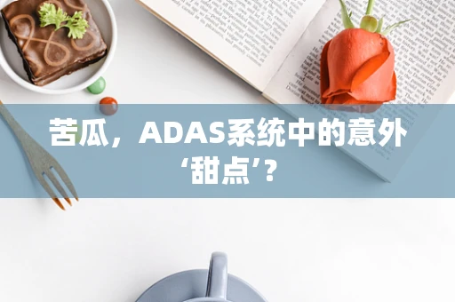 苦瓜，ADAS系统中的意外‘甜点’？