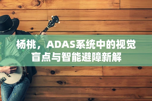 杨桃，ADAS系统中的视觉盲点与智能避障新解