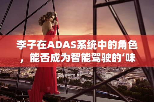 李子在ADAS系统中的角色，能否成为智能驾驶的‘味觉’导航？