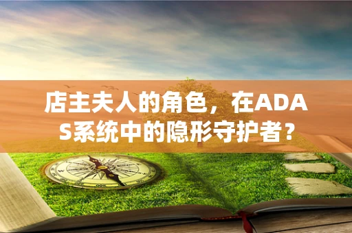 店主夫人的角色，在ADAS系统中的隐形守护者？