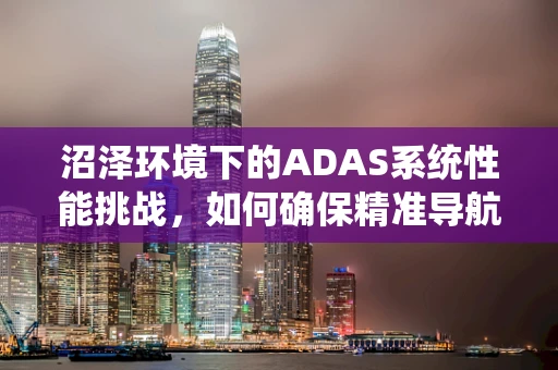 沼泽环境下的ADAS系统性能挑战，如何确保精准导航？