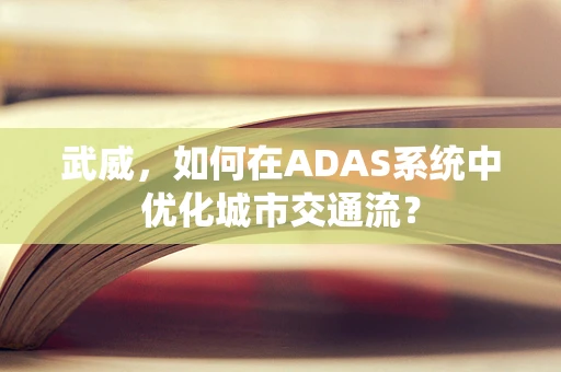 武威，如何在ADAS系统中优化城市交通流？