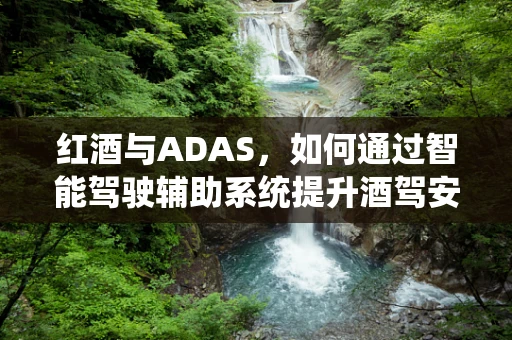 红酒与ADAS，如何通过智能驾驶辅助系统提升酒驾安全？