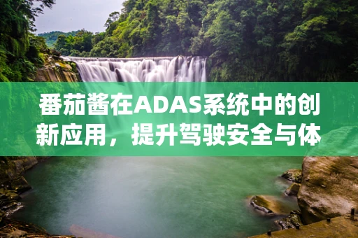 番茄酱在ADAS系统中的创新应用，提升驾驶安全与体验的新视角？
