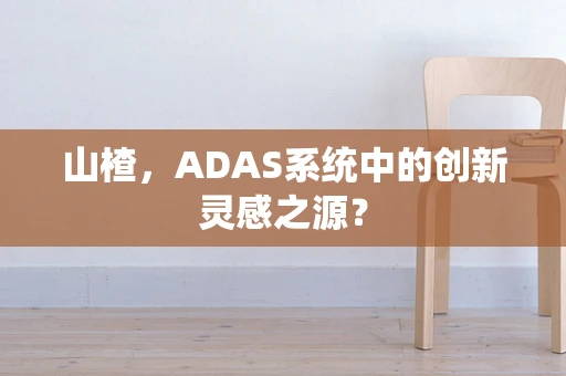 山楂，ADAS系统中的创新灵感之源？