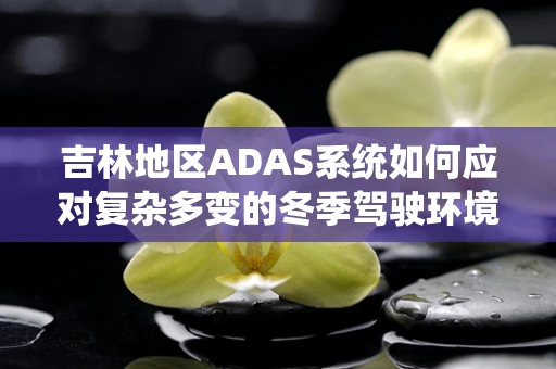 吉林地区ADAS系统如何应对复杂多变的冬季驾驶环境？