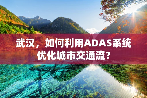 武汉，如何利用ADAS系统优化城市交通流？