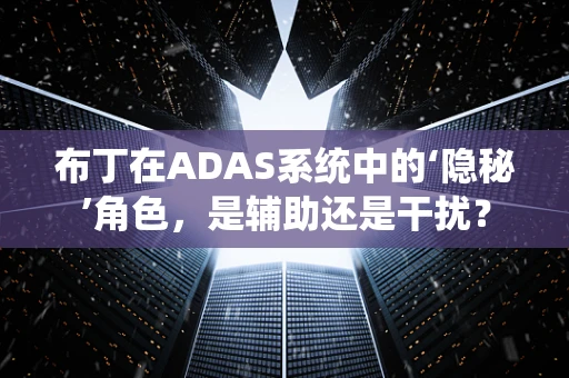 布丁在ADAS系统中的‘隐秘’角色，是辅助还是干扰？