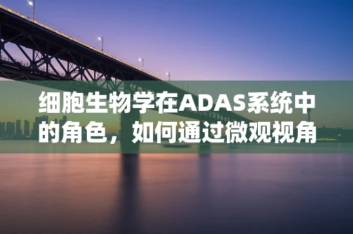 细胞生物学在ADAS系统中的角色，如何通过微观视角提升自动驾驶安全？