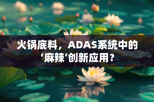 火锅底料，ADAS系统中的‘麻辣’创新应用？