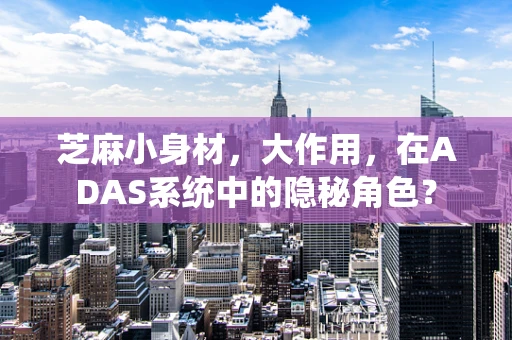 芝麻小身材，大作用，在ADAS系统中的隐秘角色？