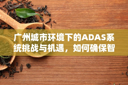 广州城市环境下的ADAS系统挑战与机遇，如何确保智能驾驶安全？