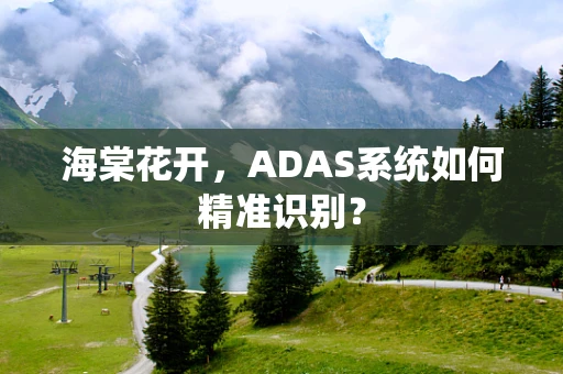 海棠花开，ADAS系统如何精准识别？