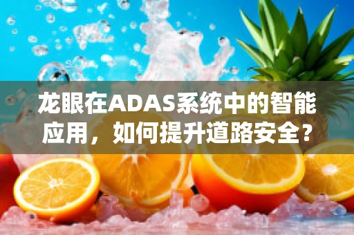 龙眼在ADAS系统中的智能应用，如何提升道路安全？