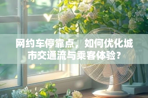 网约车停靠点，如何优化城市交通流与乘客体验？