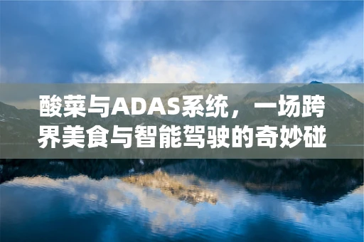酸菜与ADAS系统，一场跨界美食与智能驾驶的奇妙碰撞？