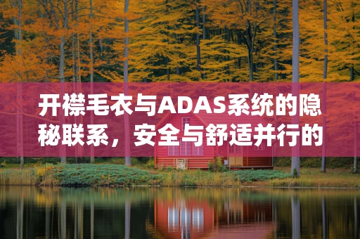 开襟毛衣与ADAS系统的隐秘联系，安全与舒适并行的设计考量