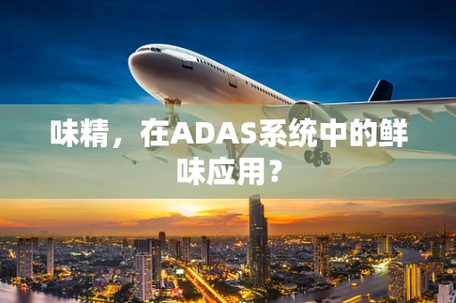 味精，在ADAS系统中的鲜味应用？