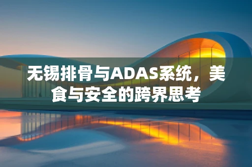 无锡排骨与ADAS系统，美食与安全的跨界思考