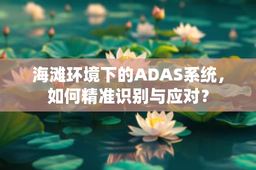 海滩环境下的ADAS系统，如何精准识别与应对？