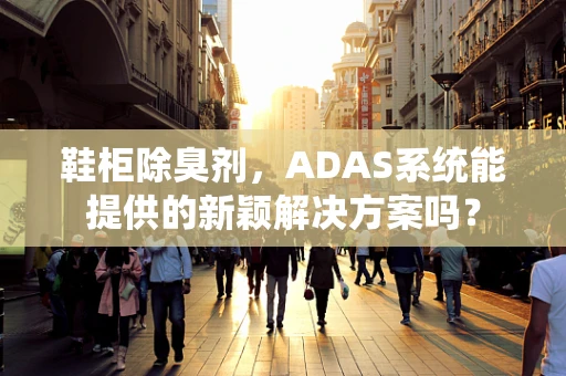 鞋柜除臭剂，ADAS系统能提供的新颖解决方案吗？