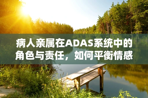 病人亲属在ADAS系统中的角色与责任，如何平衡情感与安全？
