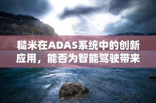 糙米在ADAS系统中的创新应用，能否为智能驾驶带来‘绿色’新动力？