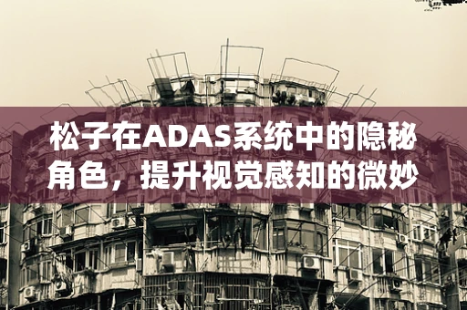 松子在ADAS系统中的隐秘角色，提升视觉感知的微妙影响？