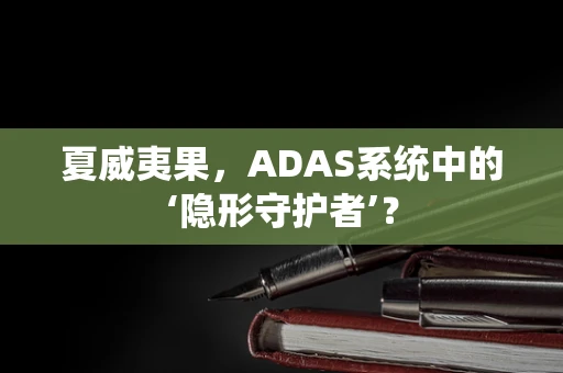 夏威夷果，ADAS系统中的‘隐形守护者’？