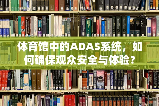 体育馆中的ADAS系统，如何确保观众安全与体验？