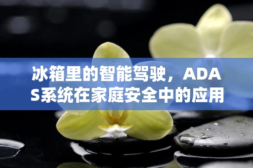 冰箱里的智能驾驶，ADAS系统在家庭安全中的应用潜力？