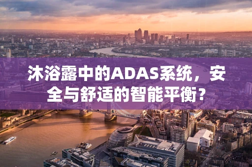 沐浴露中的ADAS系统，安全与舒适的智能平衡？