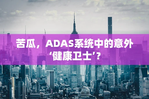 苦瓜，ADAS系统中的意外‘健康卫士’？